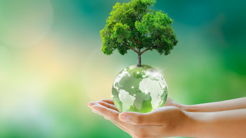 The importance of going green