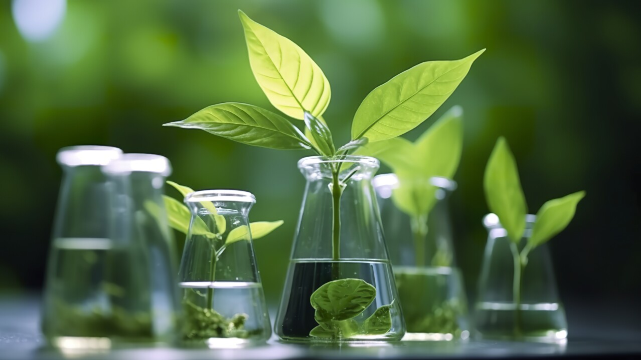 The Science of Sustainability