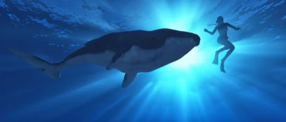 If Humpback Whales Could Talk