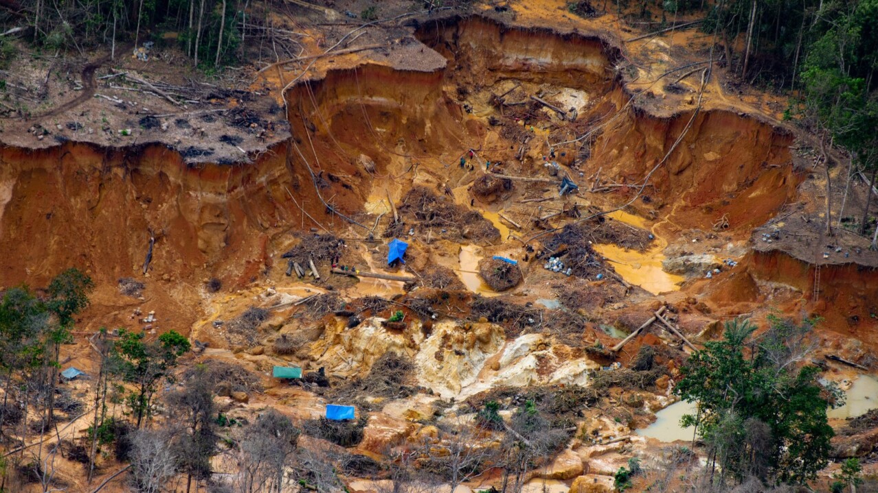 The Environmental toll of gold mining in Brazil