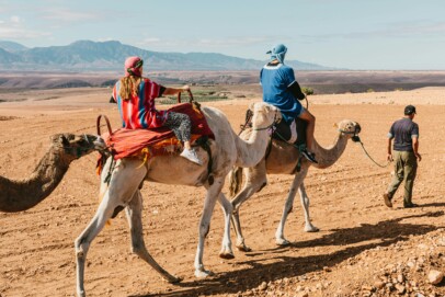 Camels - Animal Tourism