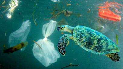 Plastics in our oceans