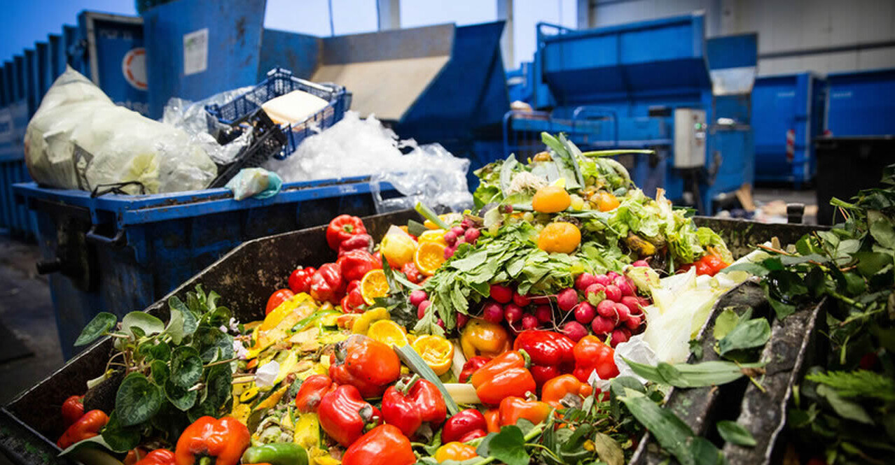 Supermarket Waste UK