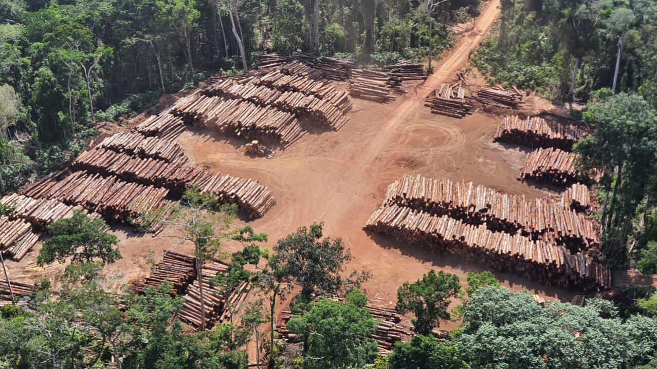 Amazon Deforestation