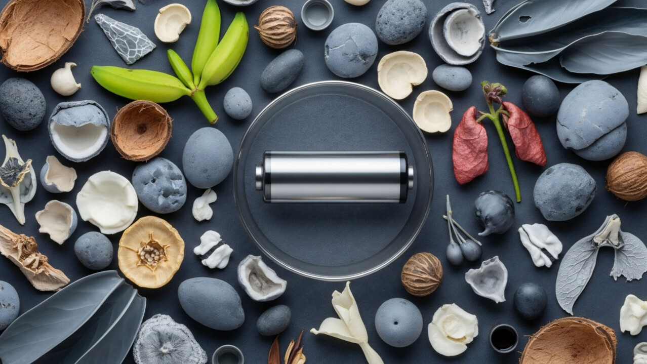 Sustainable Battery