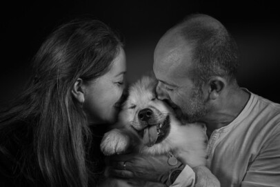 Pet law, family law and sentient beings
