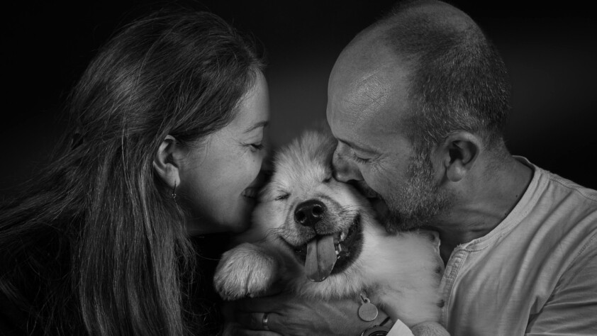 Pet law, family law and sentient beings