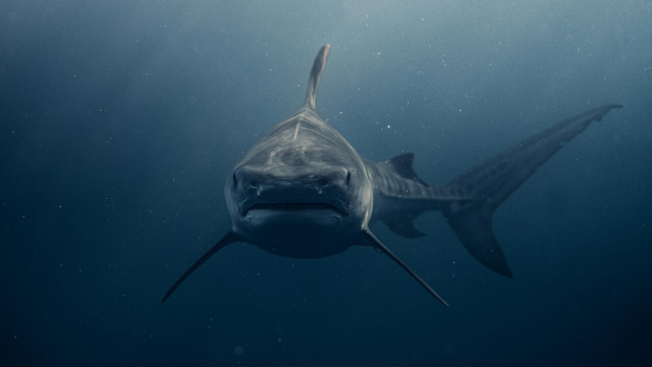 Endangered fishing