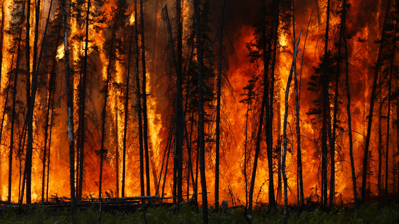Forest Fires