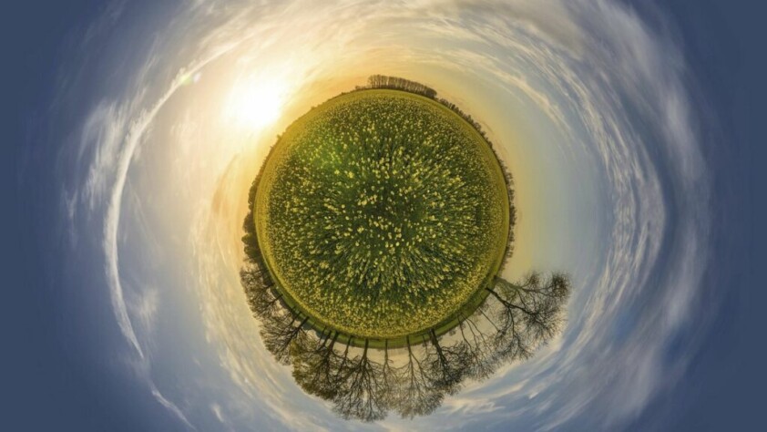 Flowers meadow mini planet. Free public domain CC0 photo.