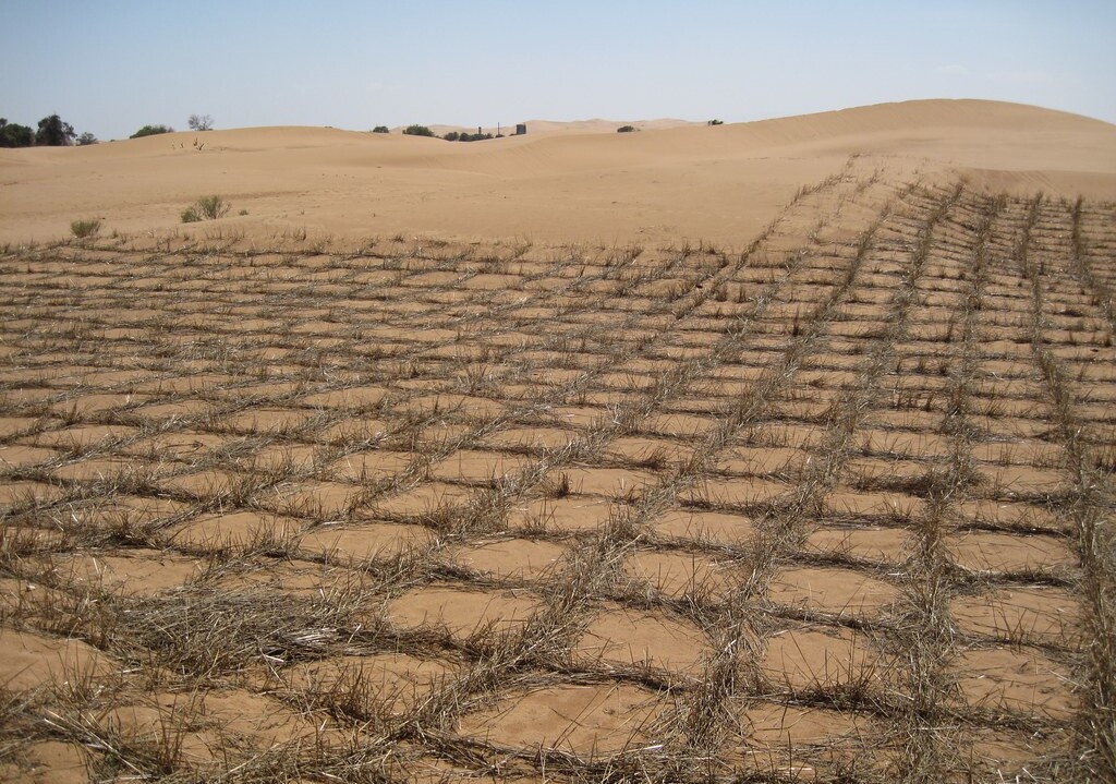 reventing Desertification - Straw Checkerboards