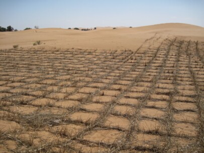 reventing Desertification - Straw Checkerboards