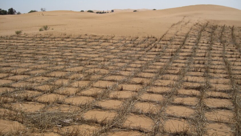 reventing Desertification - Straw Checkerboards