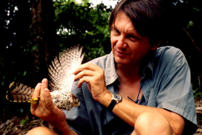 carl_jones-mauritius_kestrel