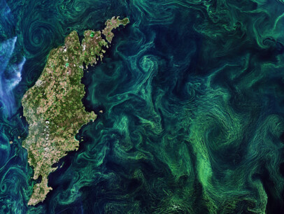 Baltic Algae Blooms