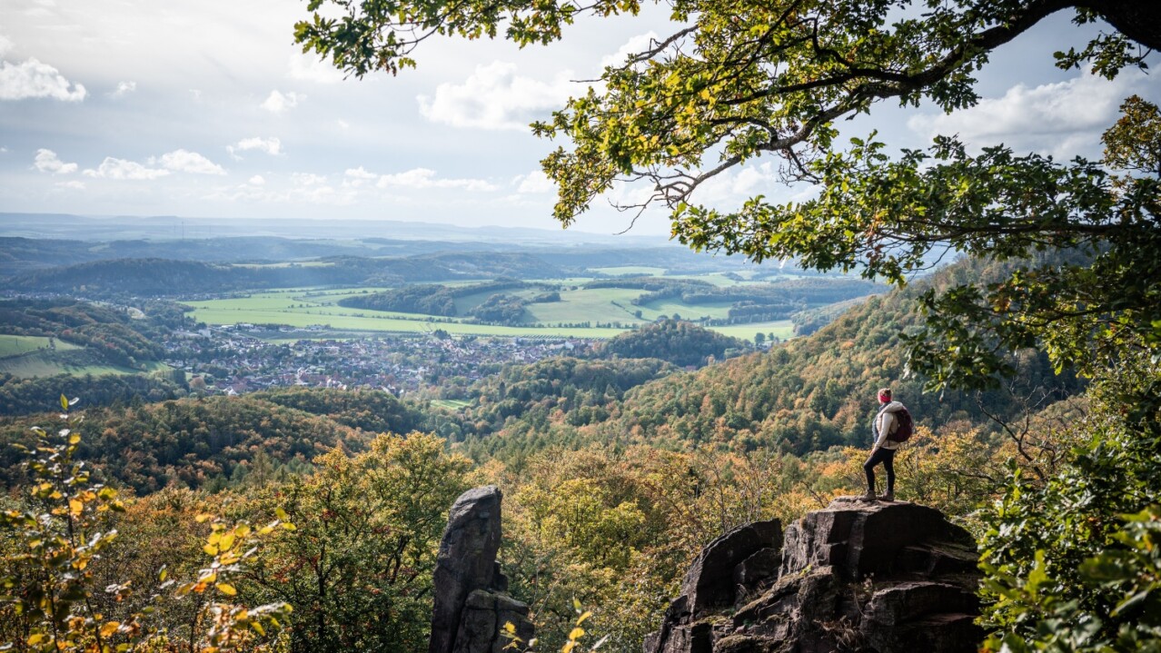 German Forest