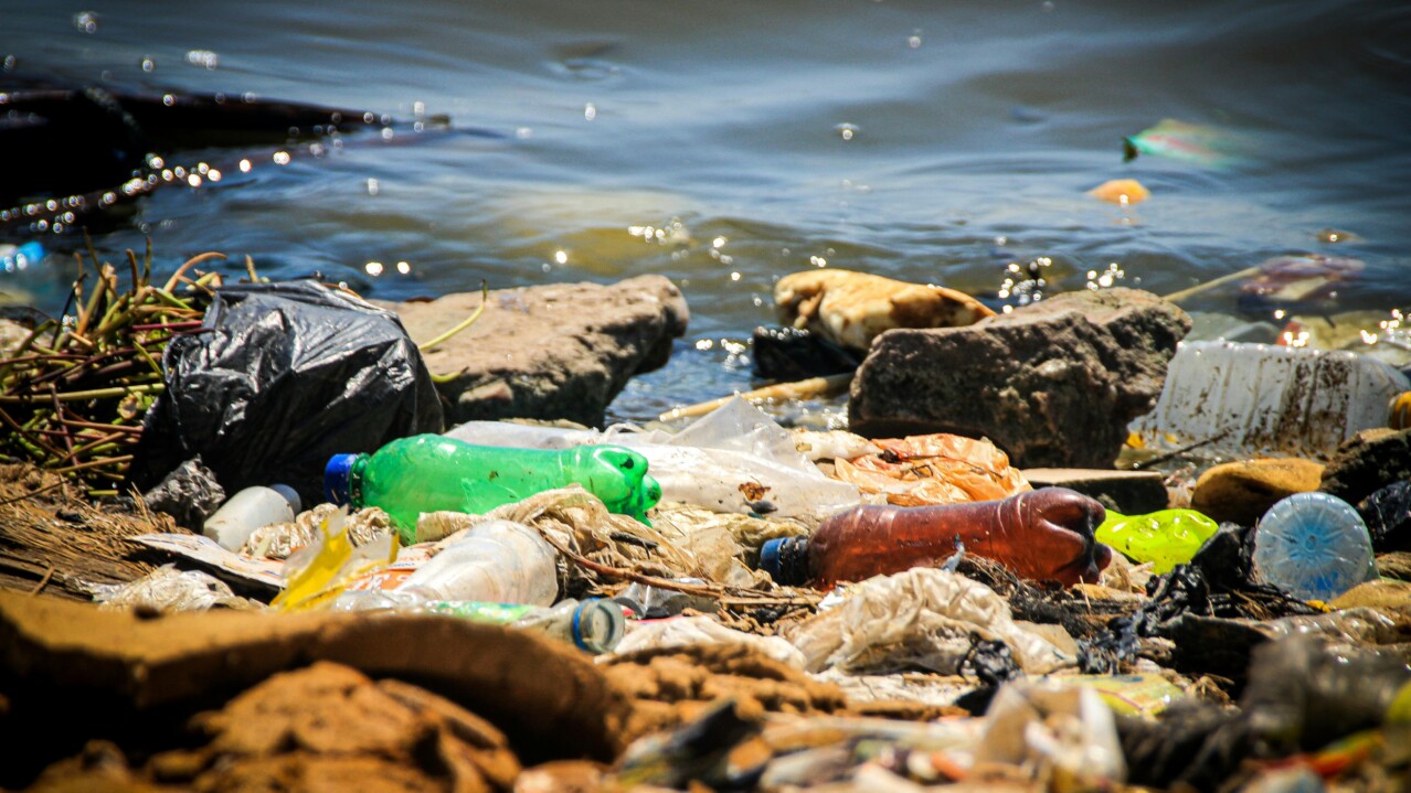 Littered Plastic