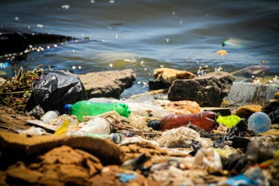 Littered Plastic