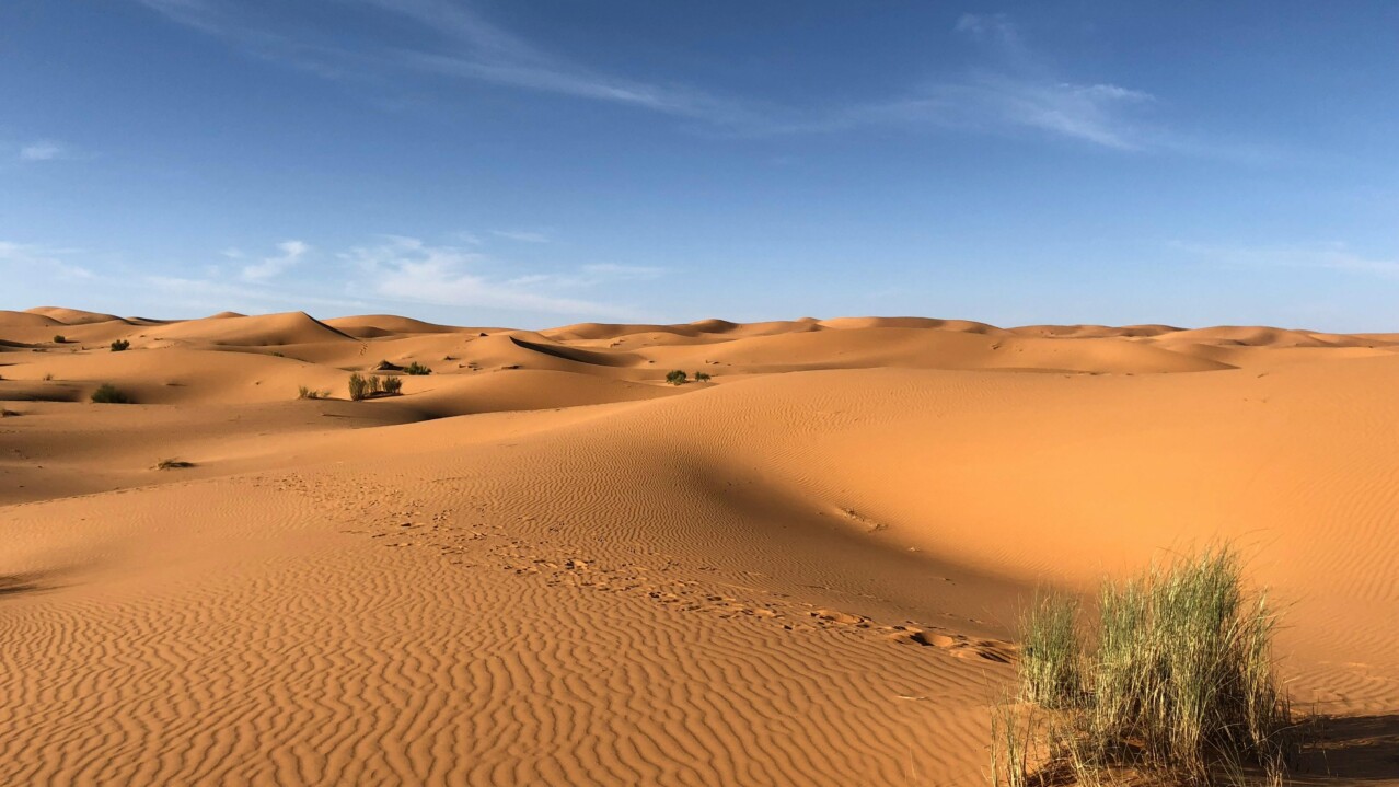 Sahara Desert