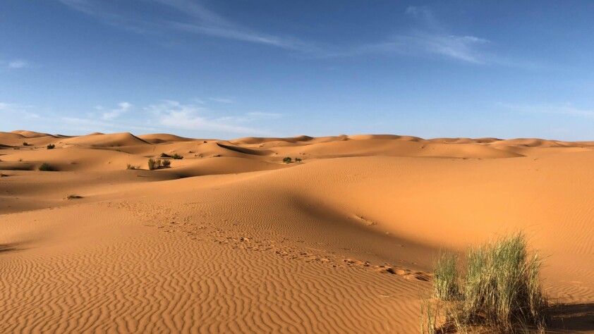 Sahara Desert
