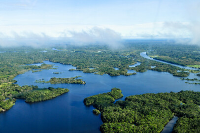 Aerial view of the Amazon Rainforest
