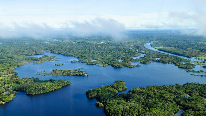 Aerial view of the Amazon Rainforest