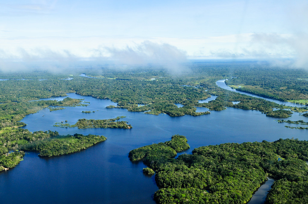 Aerial view of the Amazon Rainforest
