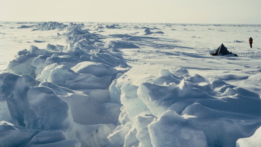Arctic Ocean, sea ice