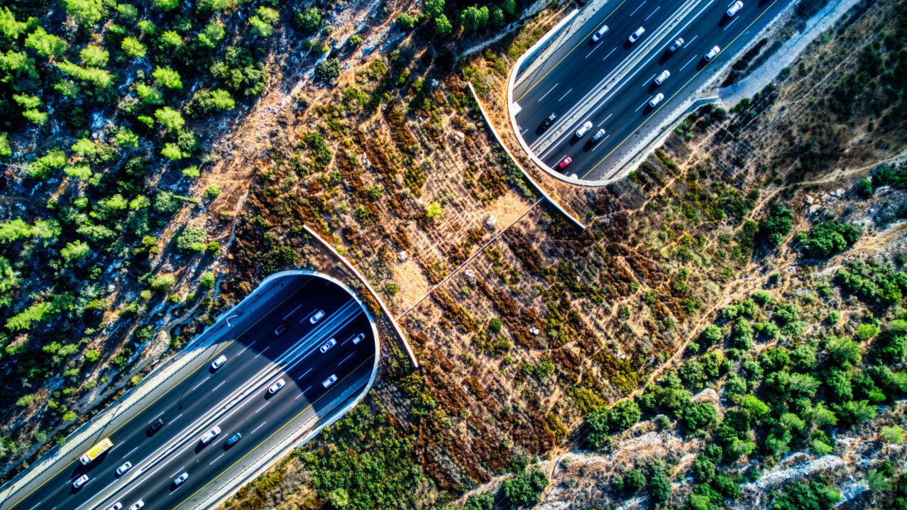 Wildlife Crossing A1 Israel Sept 202022_01