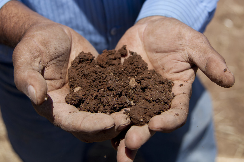 Soil